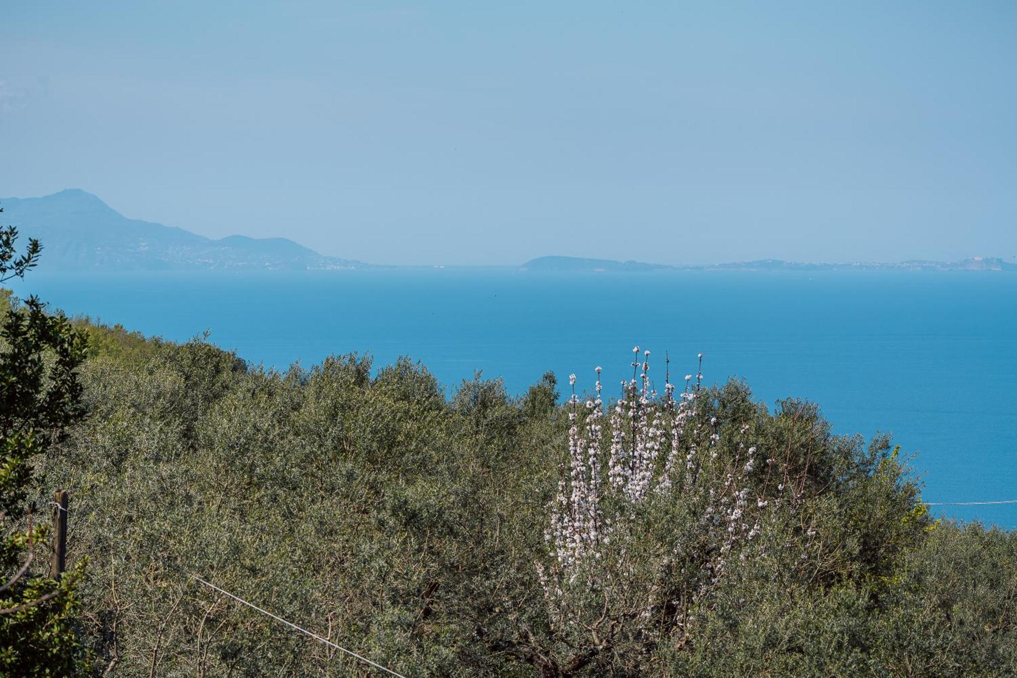 Relais San Francesco Guest house *
